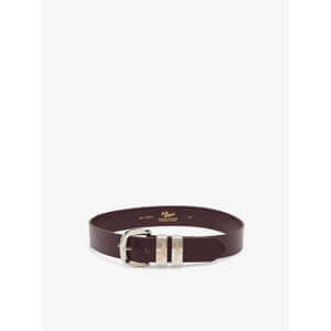R.M. Williams Drover belt